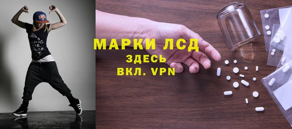 стафф Новодвинск