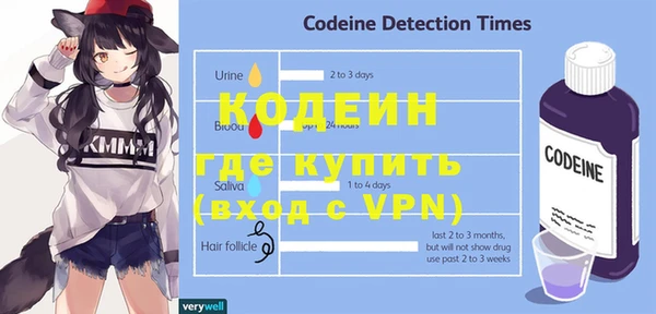 стафф Новодвинск