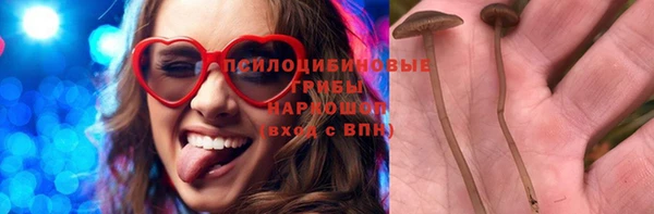 твердый Бежецк