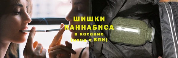 стафф Новодвинск