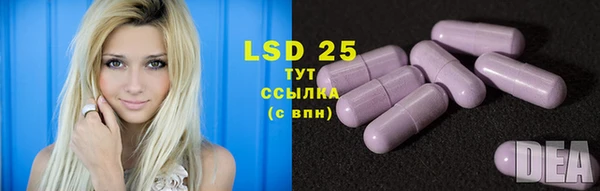 стафф Новодвинск