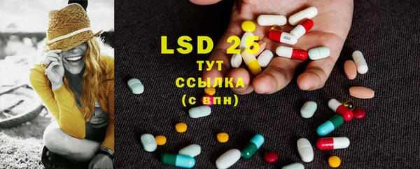 стафф Новодвинск