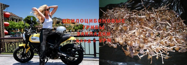 стафф Новодвинск