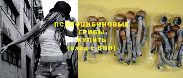 стафф Новодвинск