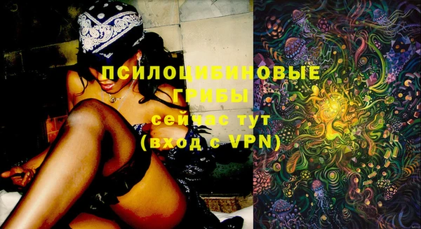 PSILOCYBIN Белая Холуница