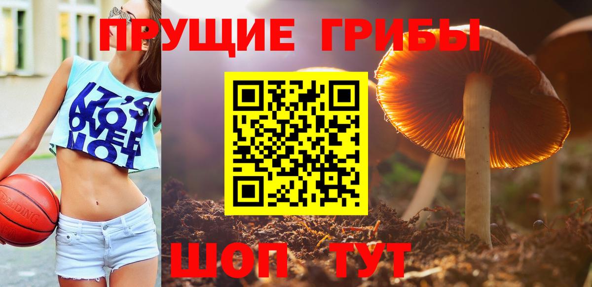 Богородск  Псилоцибиновые грибы прущие грибы  Вход с VPN 